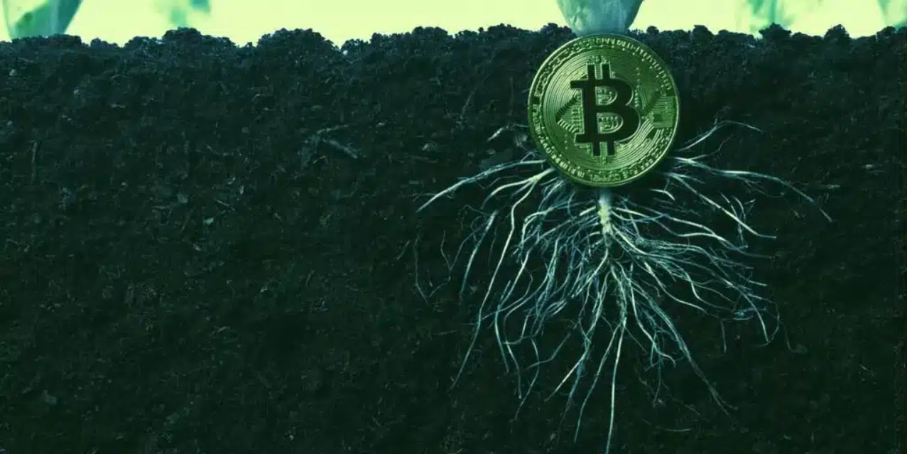 bitcoin 360 ai 4